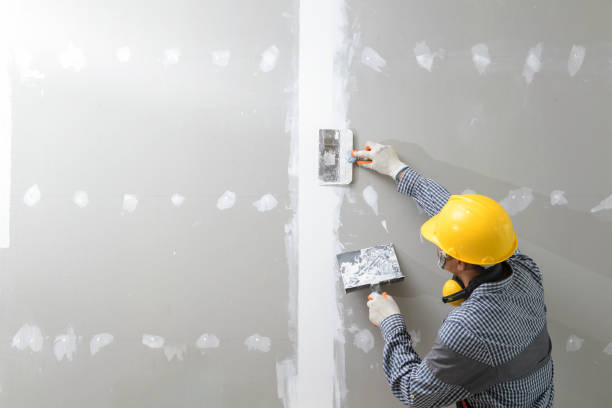 Best Emergency Mold Remediation  in Lander, WY