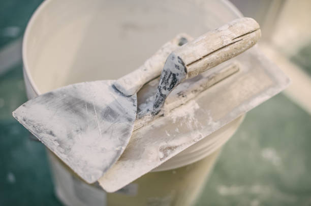 Best Mold Remediation for Healthcare Facilities  in Lander, WY
